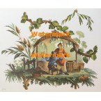 Scene  - #XBCH23  -  PRINT